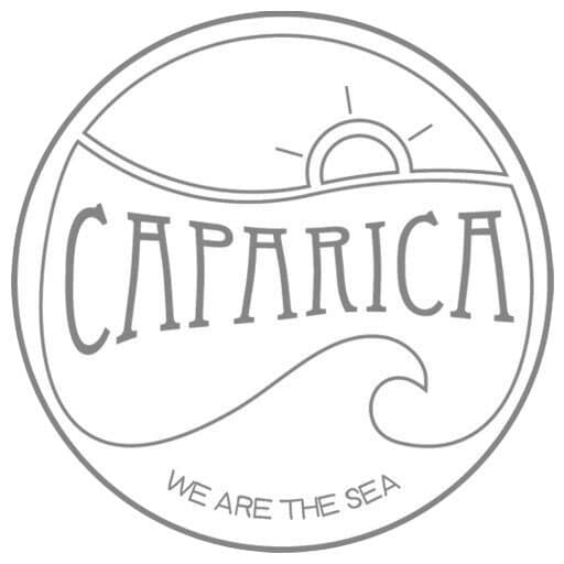 Surf Caparica | Surf Lessons in Caparica