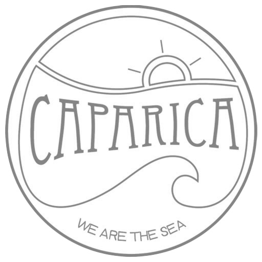 Surf Caparica | Surf Lessons in Caparica